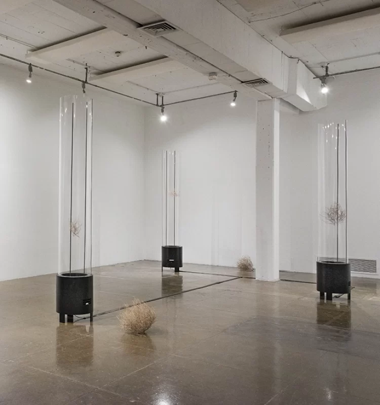 ap-cautivo movil-01-wp