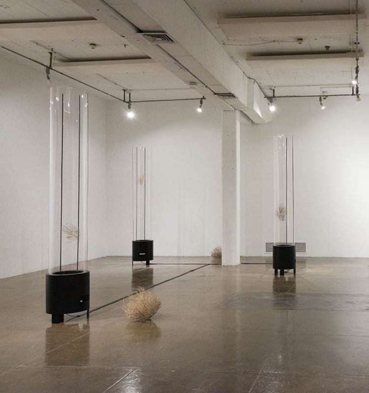 ap-cautivo movil-02-wp